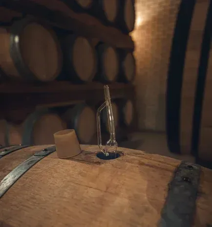 dégustation de vin